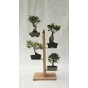 Portavasi da interno verticale in legno naturale per 4|7|10|13 vasi Zia Flora