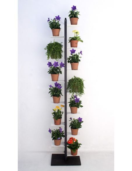 Portavasi da interno verticale in legno naturale per 4|7|10|13 vasi Zia Flora