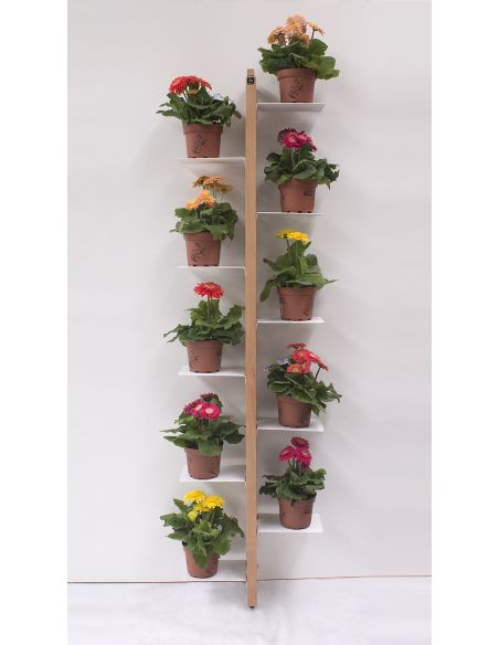 Portavasi da interno a parete in legno per 10|14 vasi Zia Flora Portavasi da interno a parete in legno per 10|14 vasi Zia Flora