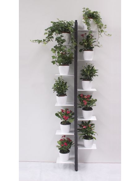 Portavasi da interno a parete in legno per 10|14 vasi Zia Flora Portavasi da interno a parete in legno per 10|14 vasi Zia Flora