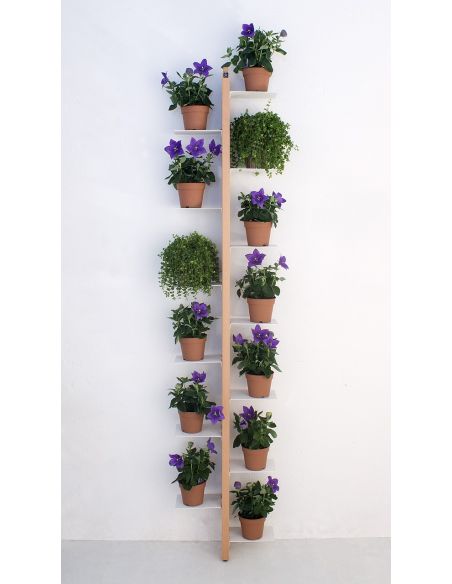 Portavasi da interno a parete in legno per 10|14 vasi Zia Flora Portavasi da interno a parete in legno per 10|14 vasi Zia Flora