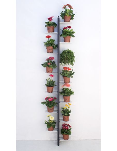 Portavasi da interno a parete in legno per 10|14 vasi Zia Flora Portavasi da interno a parete in legno per 10|14 vasi Zia Flora