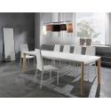 Tavolo pranzo allungabile design minimal Talles da 160 a 240 cm