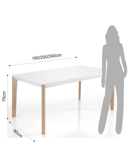 Tavolo pranzo allungabile design minimal Talles da 160 a 240 cm