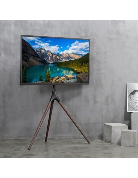 Treppiedi porta TV da 45 a 65 pollici VESA 600x400 con staffa girevole Dandy