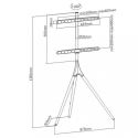 Treppiedi porta TV da 45 a 65 pollici VESA 600x400 con staffa girevole Dandy