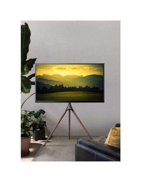 Treppiedi porta TV da 45 a 65 pollici VESA 600x400 con staffa girevole Dandy