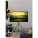 Treppiedi porta TV da 45 a 65 pollici VESA 600x400 con staffa girevole Dandy