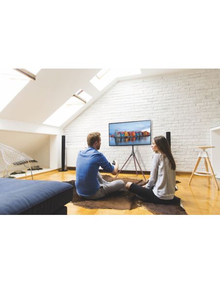 Treppiedi porta TV da 45 a 65 pollici VESA 600x400 con staffa girevole Dandy