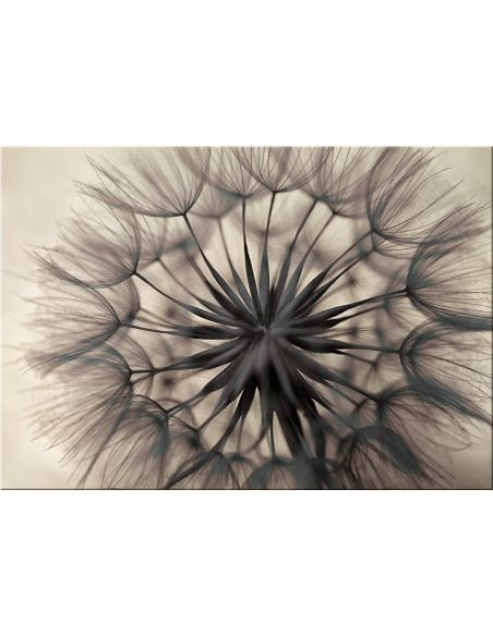 Quadro moderno su tela con immagine floreale Flower Head