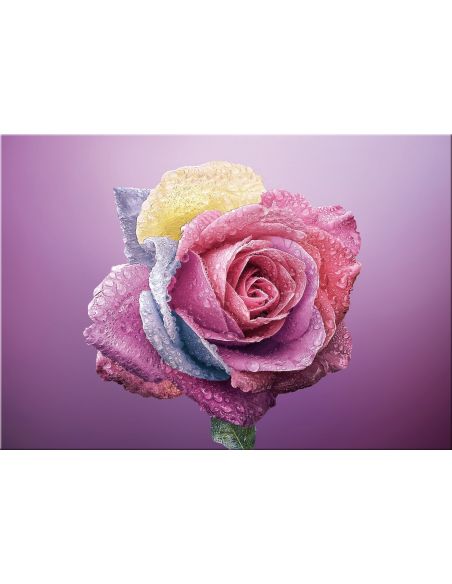 Quadro floreale su tela per arredamento Color Rose