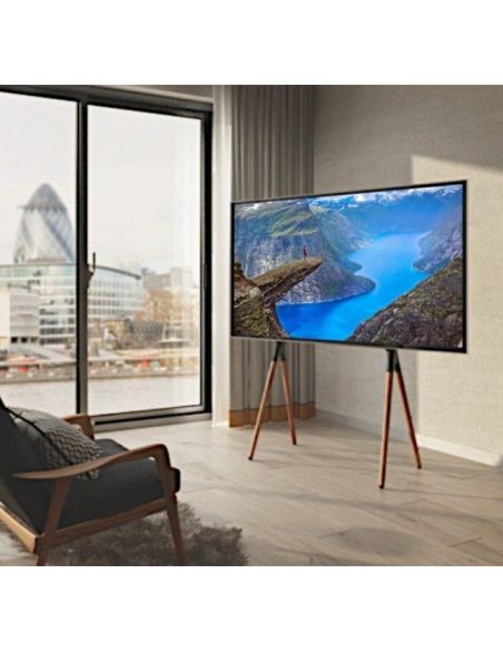 Supporto TV da terra da 49 a 70 pollici Rayner