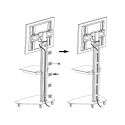 Carrello porta TV regolabile e ruotabile 37 - 70 pollici Agile