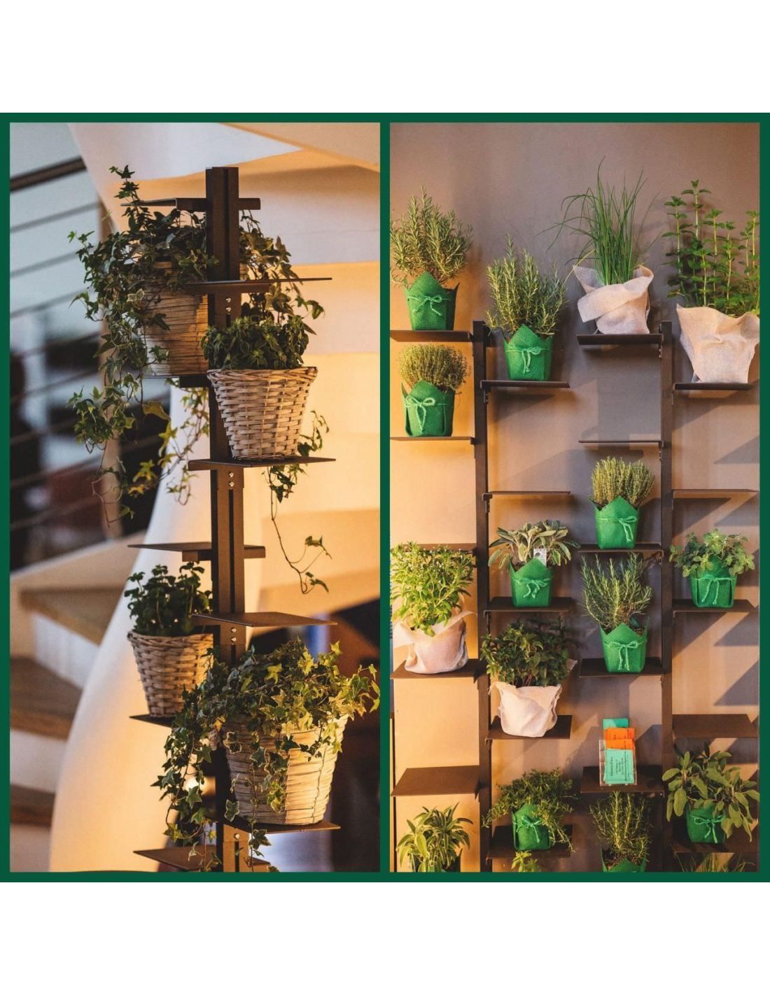 L'eleganza dei portavasi da parete per giardini verticali indoor