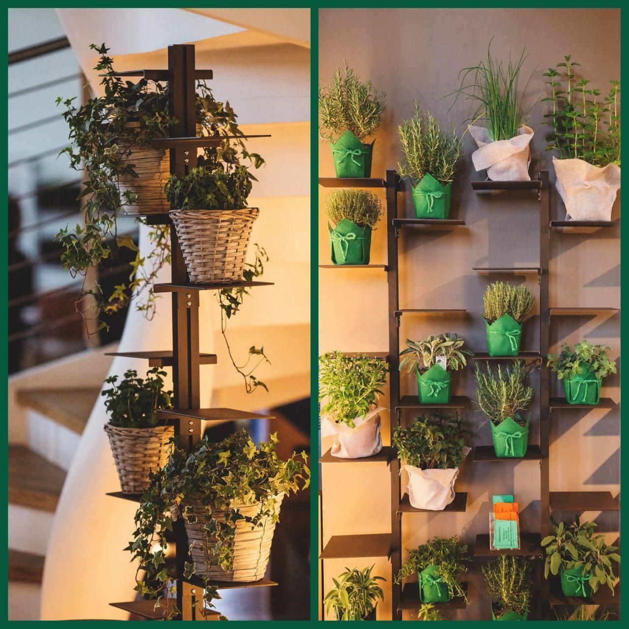 L'eleganza dei portavasi da parete per giardini verticali indoor