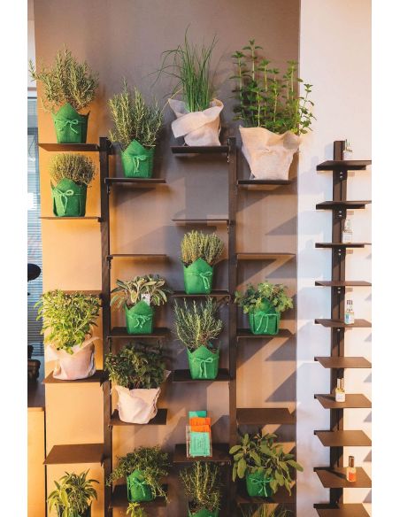 Portavasi da interno verticale a parete in acciaio Mr Green