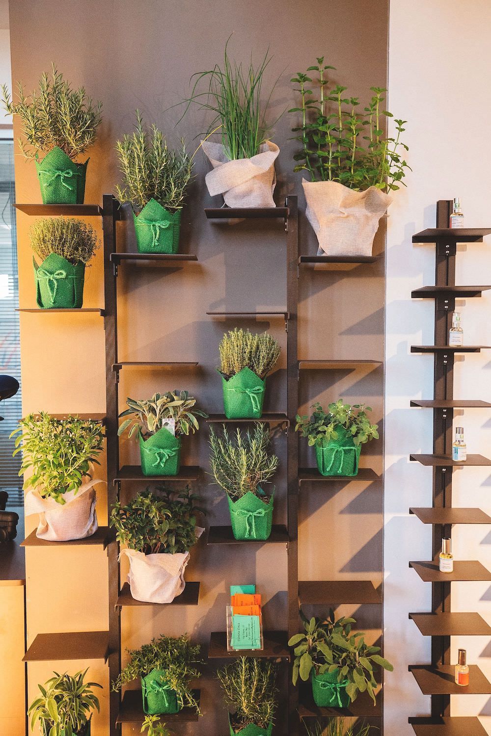 L'eleganza dei portavasi da parete per giardini verticali indoor