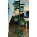 Portavasi da interno autoportante design moderno Mr Green