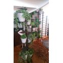 Portavasi da interno autoportante design moderno Mr Green