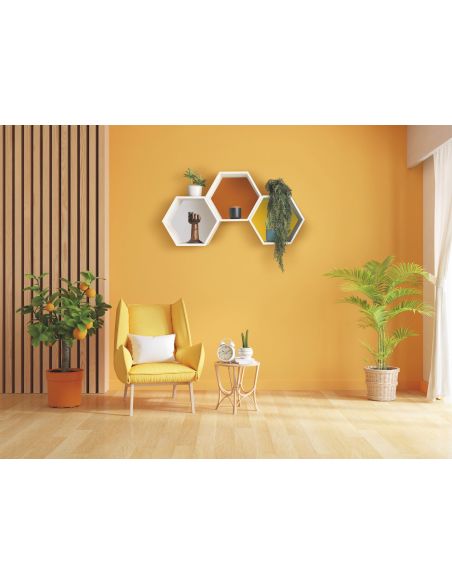 Mensola da parete esagonale in plexiglass Aive