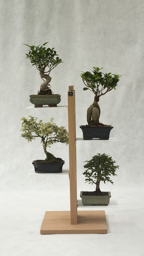 Portavasi da interno verticale in legno Zia Flora