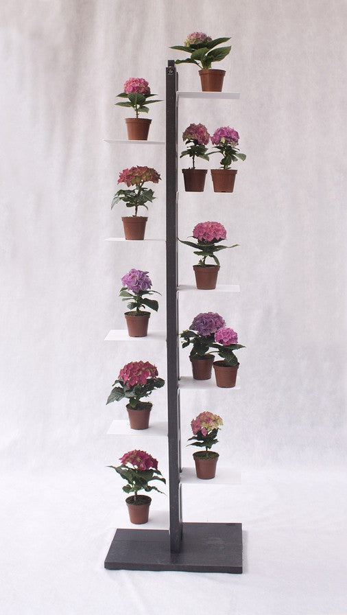 Portavasi da interno verticale in legno Zia Flora