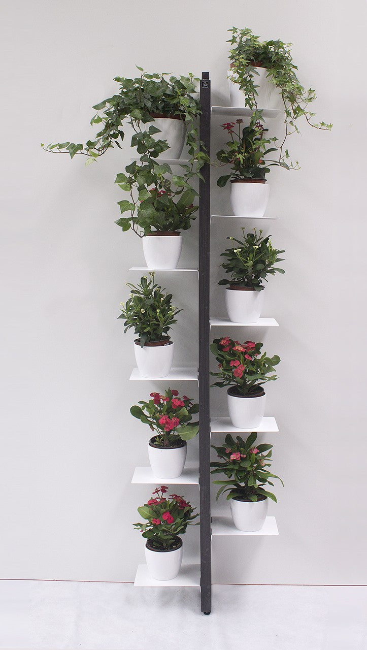 Portavasi da interno a parete in legno Zia Flora