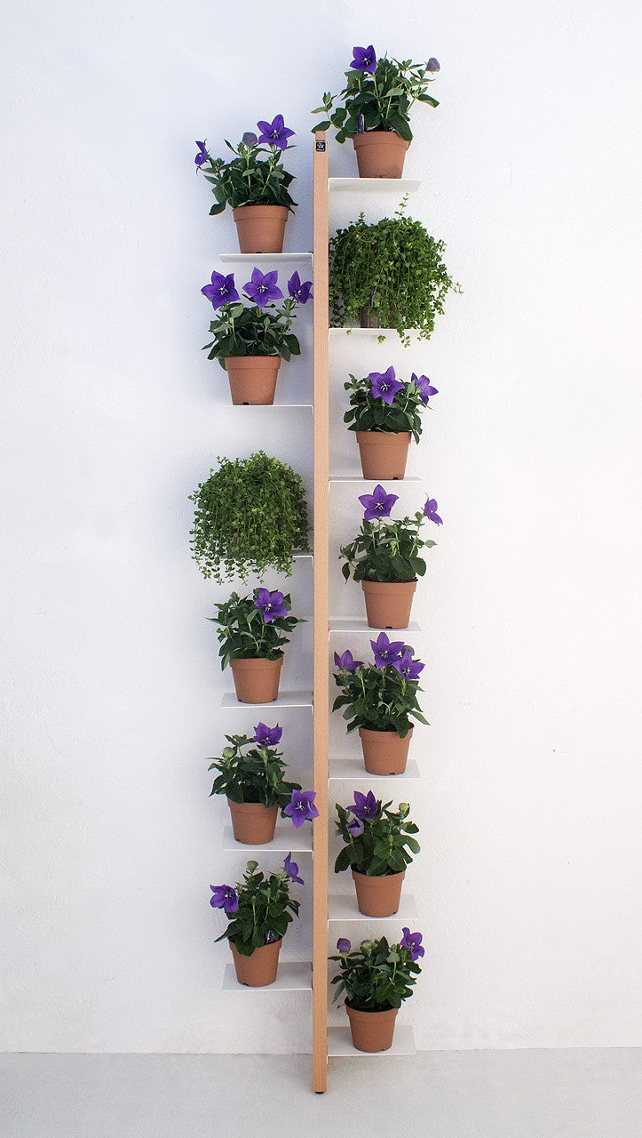 Portavasi da interno a parete in legno Zia Flora