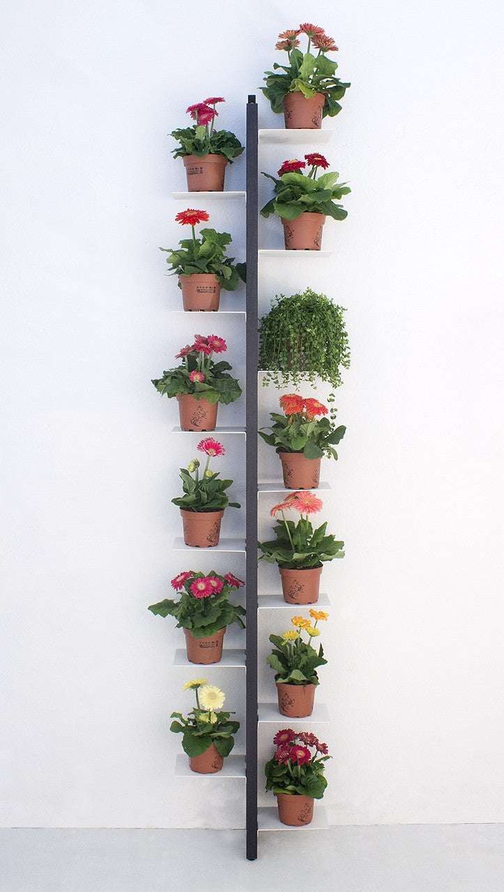 Portavasi da interno a parete in legno Zia Flora