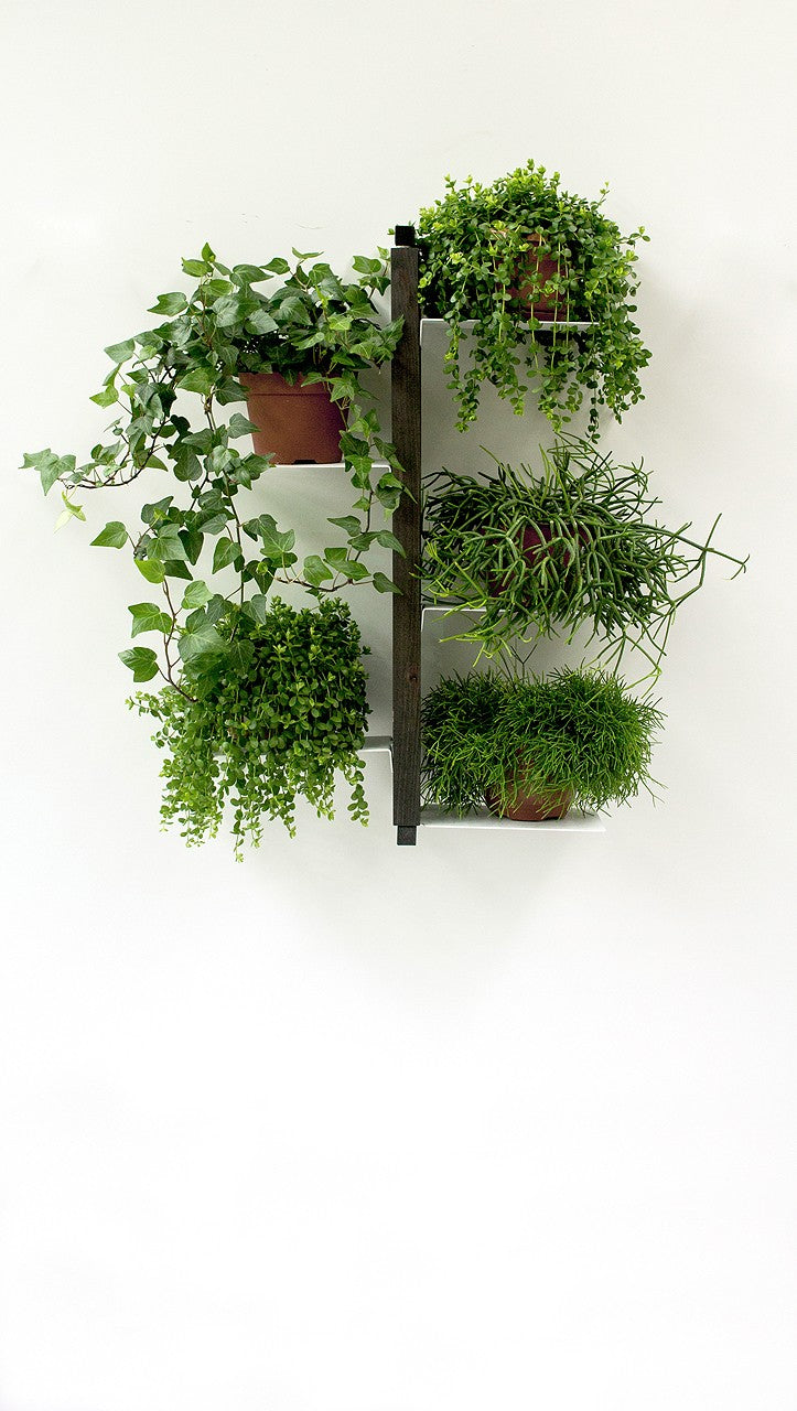 Portavasi da interno da appendere in legno Zia Flora