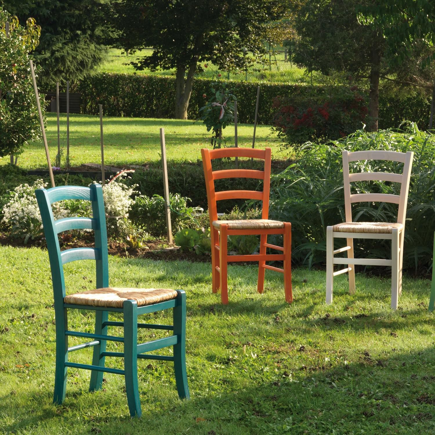 Coppia sedie in paglia colorata per sala pranzo Coretta