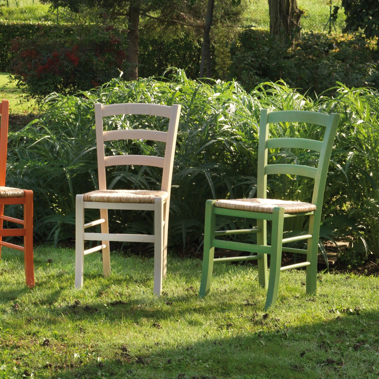 Coppia sedie in paglia colorata per sala pranzo Coretta