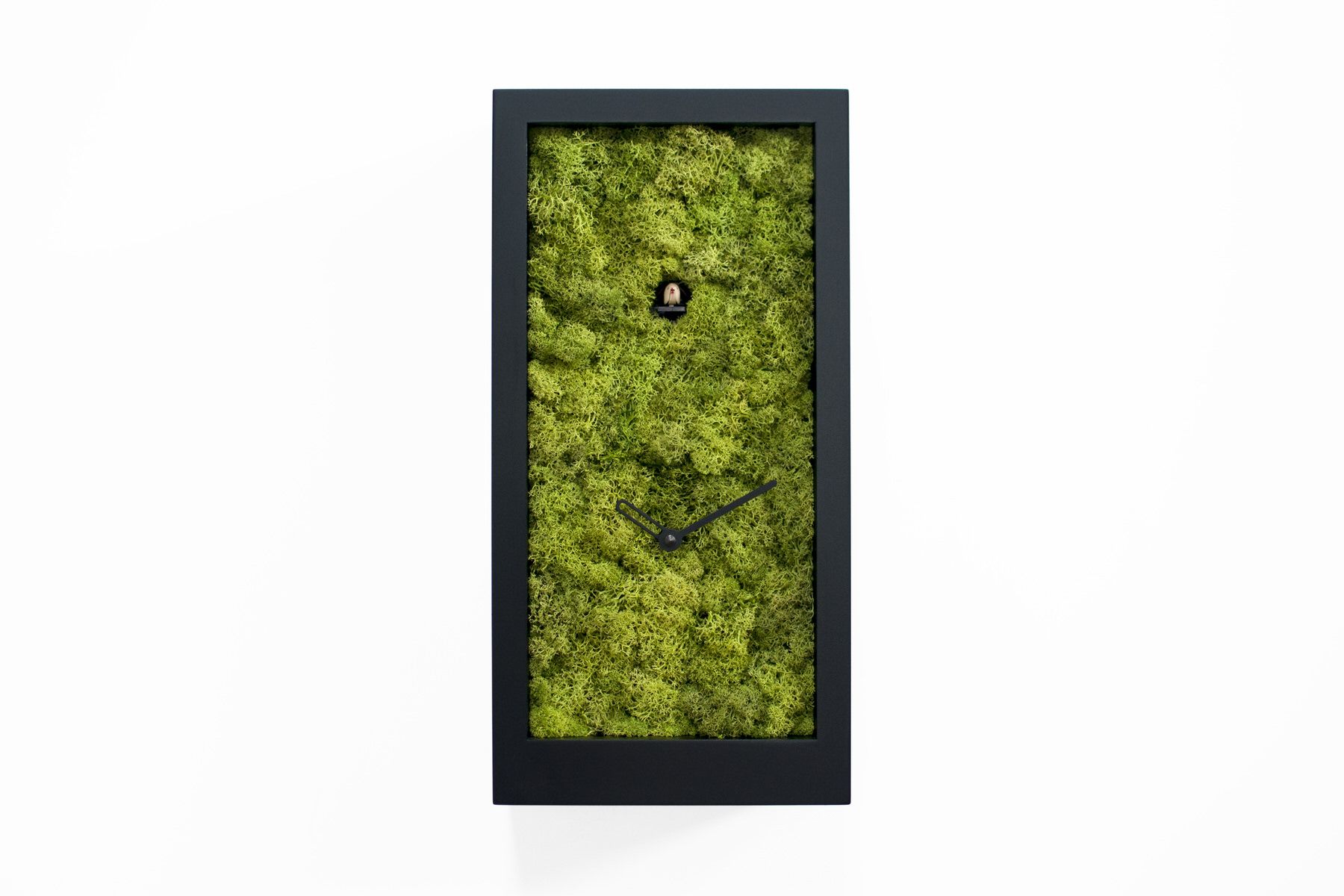 Orologio a cucu design moderno Amazon