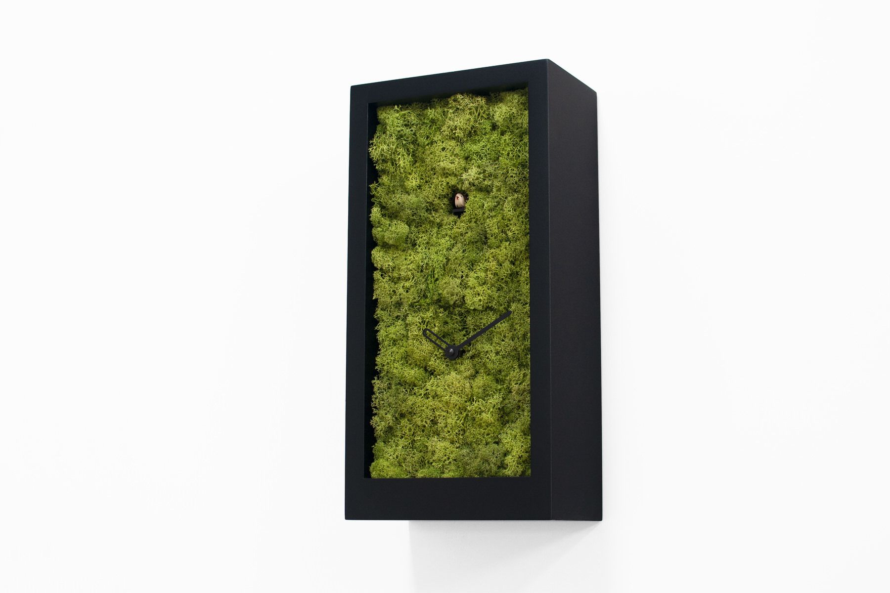 Orologio a cucu design moderno Amazon