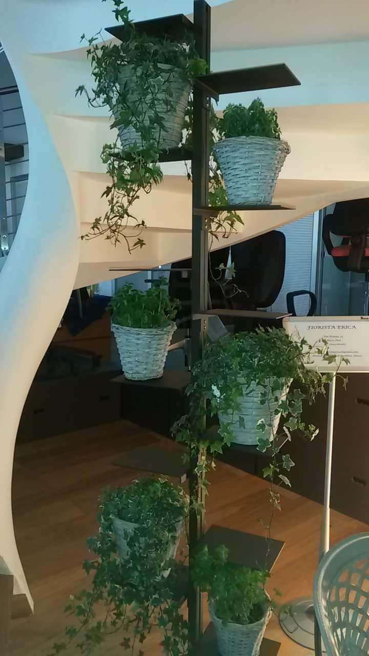 Portavasi da interno autoportante design moderno Mr Green