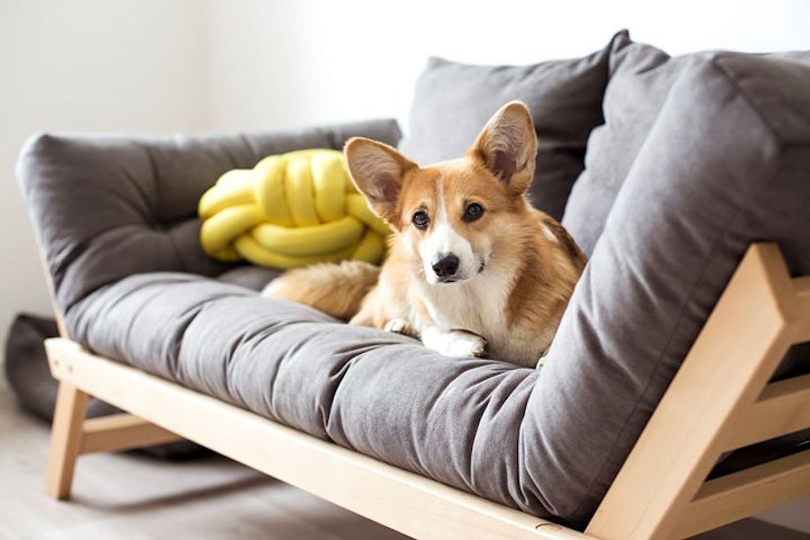 Divano letto singolo in legno massello Alborg