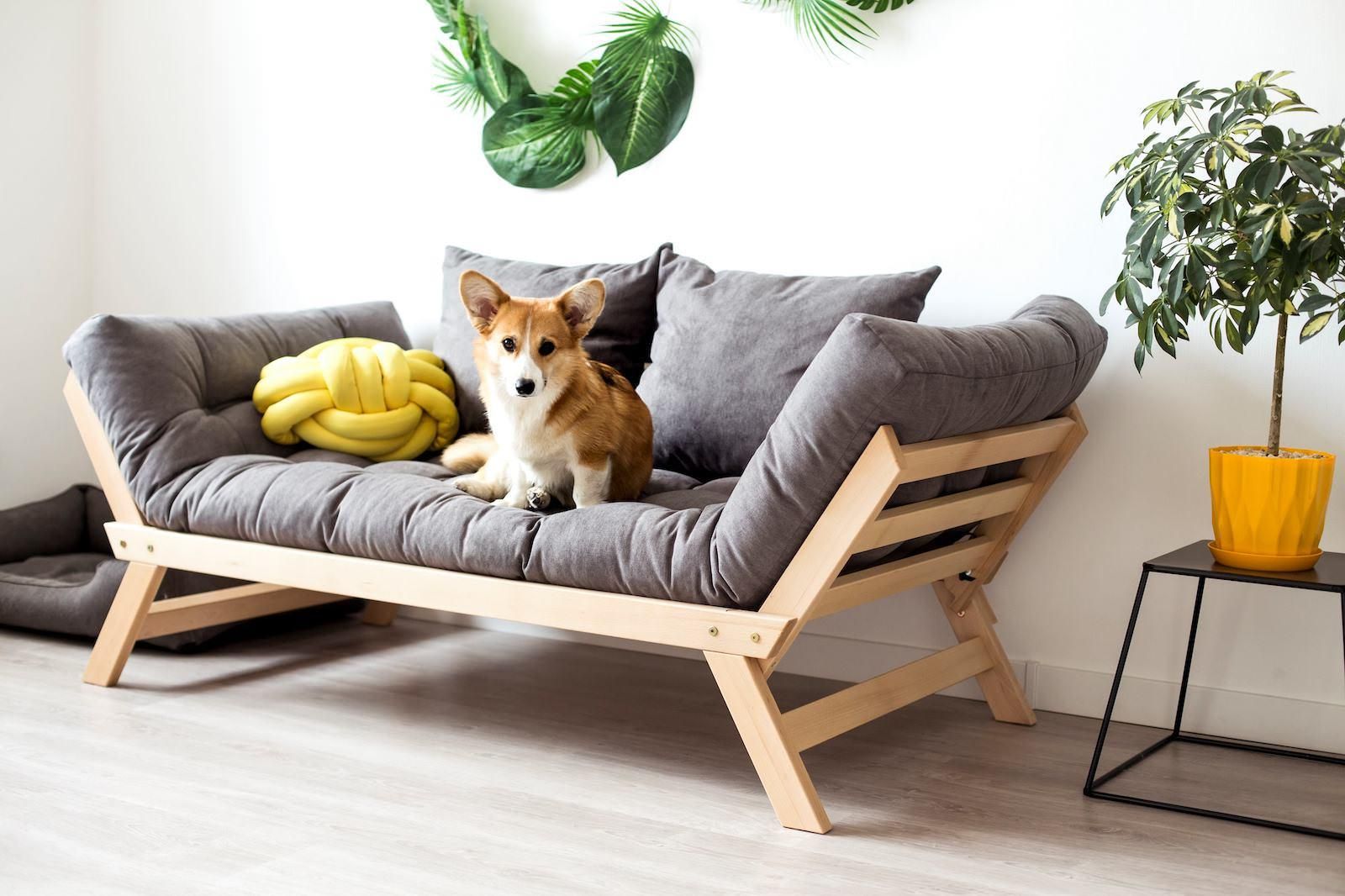 Divano letto singolo in legno massello Alborg