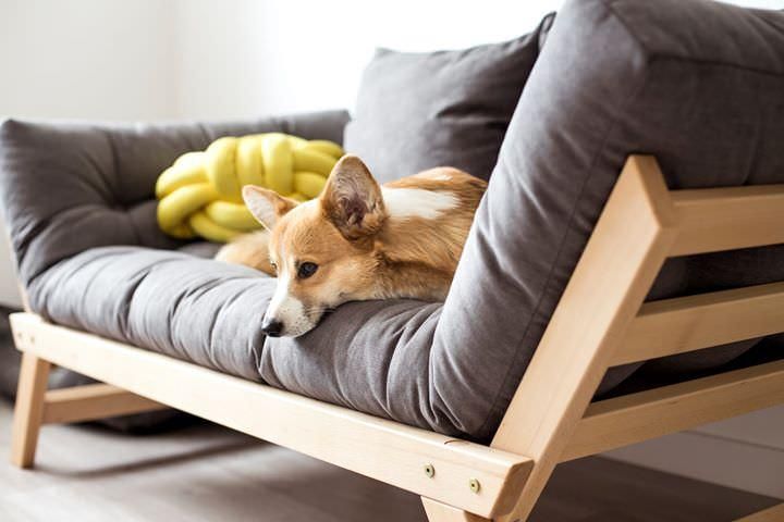 Divano letto singolo in legno massello Alborg