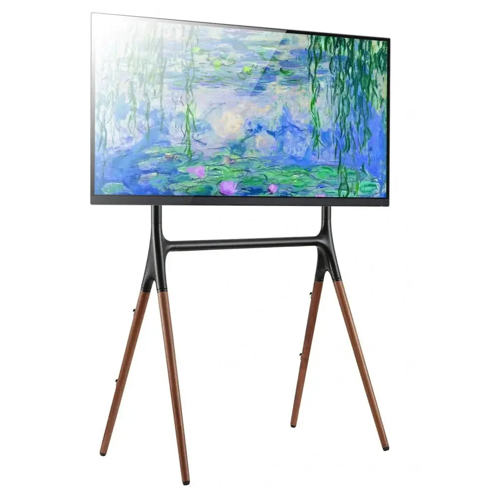Supporto TV da terra da 49 a 70 pollici Rayner