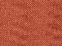 581 Argus Rust