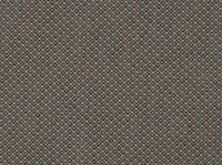 585 Argus Brown