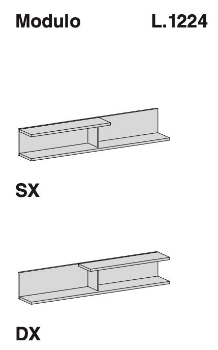 Schema Allan